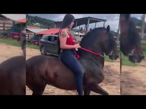 shemale riding compilation|Shemale Riding Compilation Porn Videos